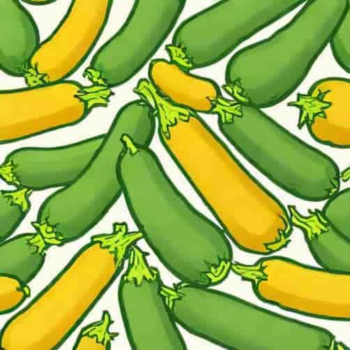 Zucchini Non Starchy Vegetable