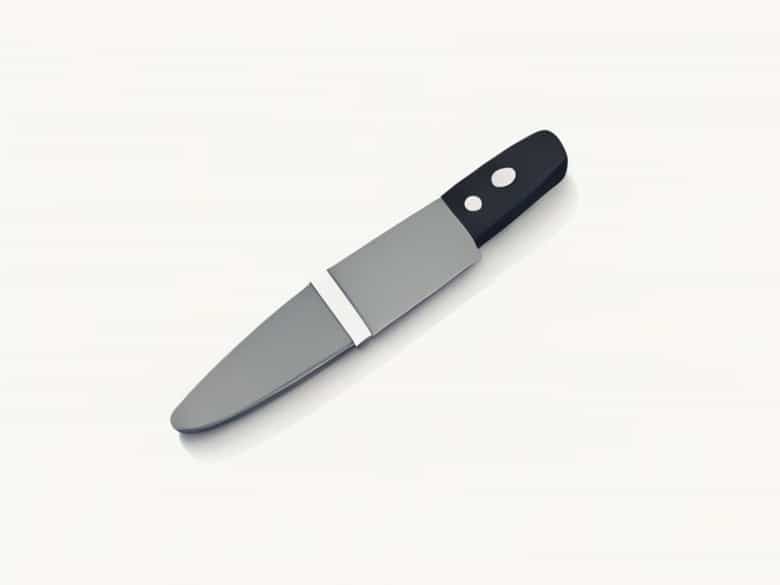 A Picture Of A Paring Knife