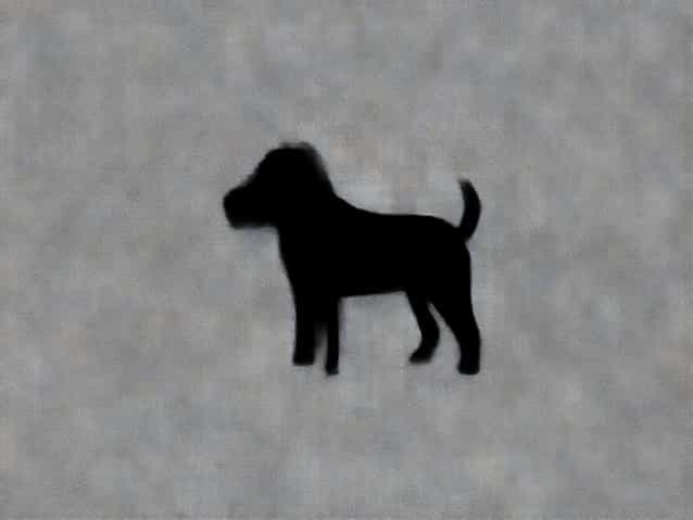 Avlive Hund Pga Tenner