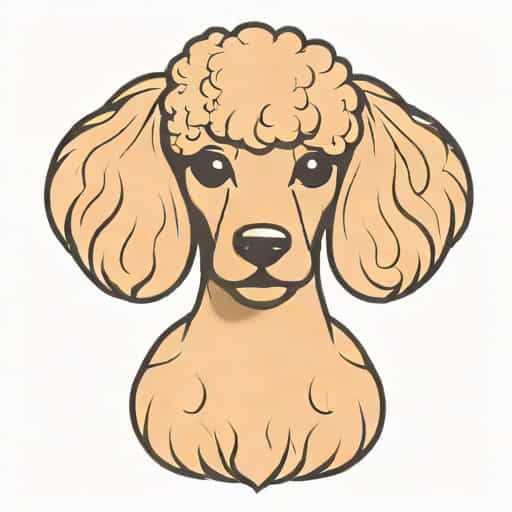 Banding Poodle Topknot