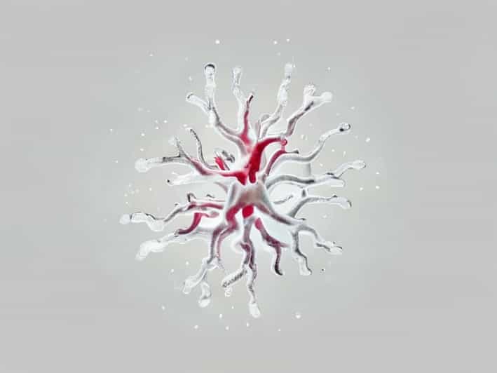 Biological Importance Of Anomalous Expansion Of Water