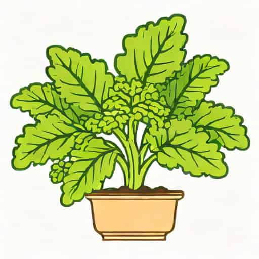 Can Kale Be Grown Hydroponically