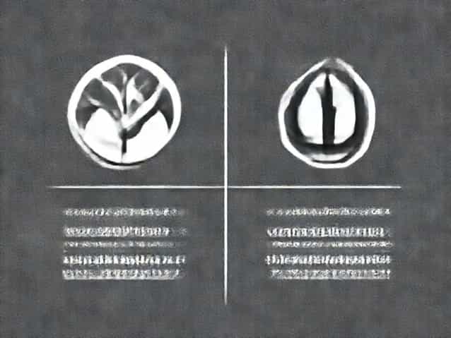 Difference Between Seasonal And Cyclical Variation