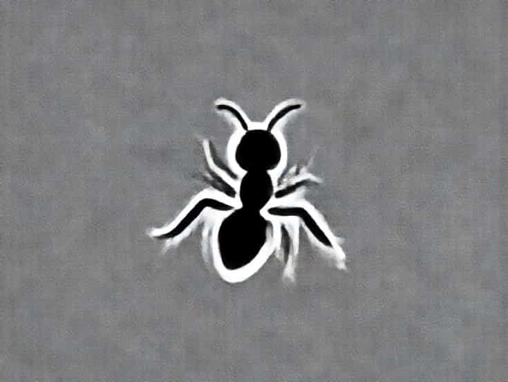 Do Carpenter Ants Bite
