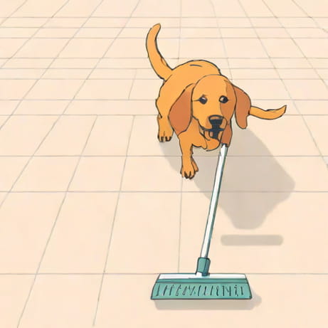 Dog Licked Mopped Floor