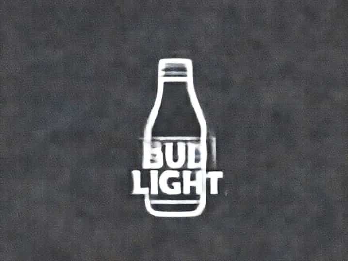 Kid Rock Bud Light
