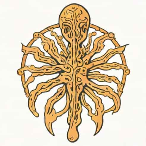 Lymph Node Of Mascagni