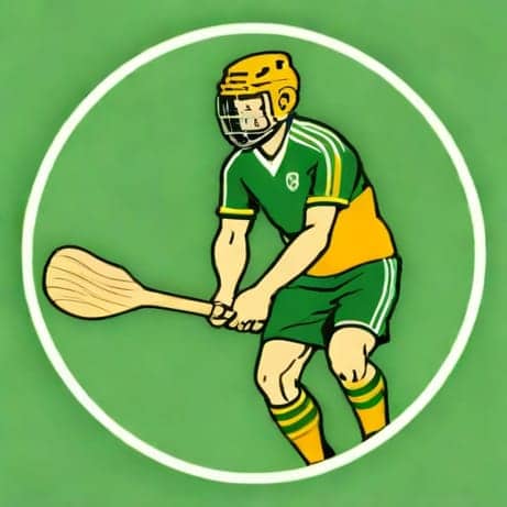 Offaly U20 Hurling Panel 2024
