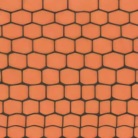 Shingles Herpes Zoster Treatable