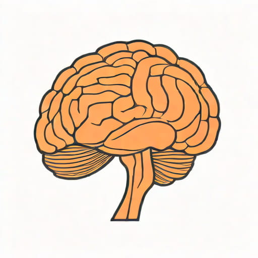 The Cerebellum Is Responsible For