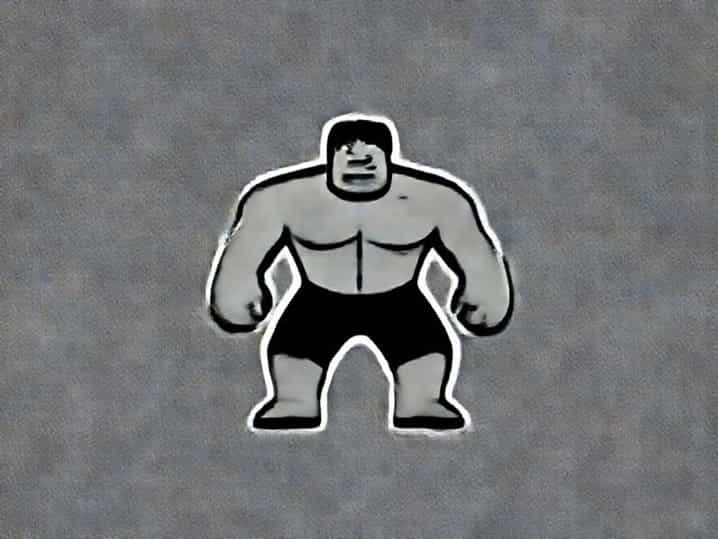 The Hulk Lou Ferrigno