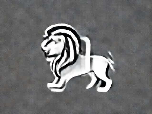 The Zodiac Sign Leo