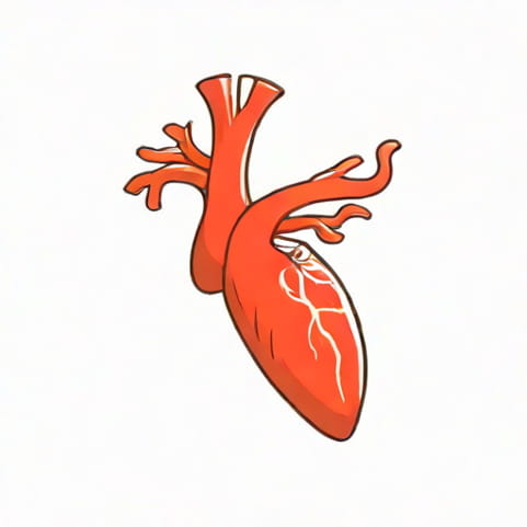 Uterine Artery Diastolic Notch