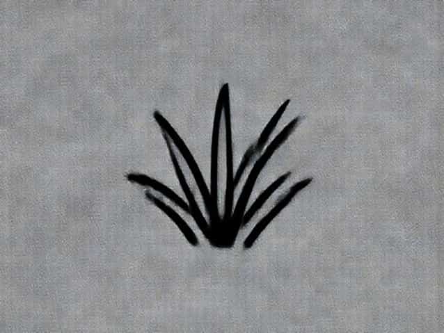 What Is Quack Grass
