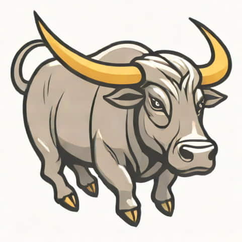 What Is The Function Of The Bull Roarer