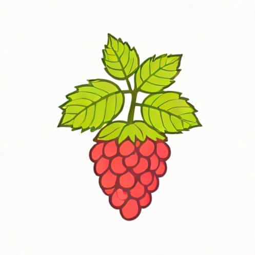 Where Can You Buy Loganberry