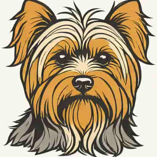 Yorkshire Terrier Shedding