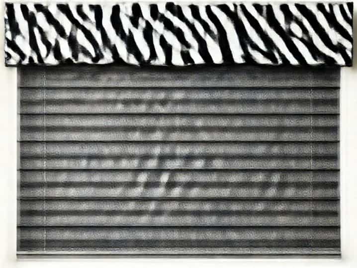 Zebra Blinds With Valance