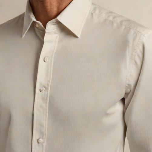 Zegna Elder Statesman Shirt