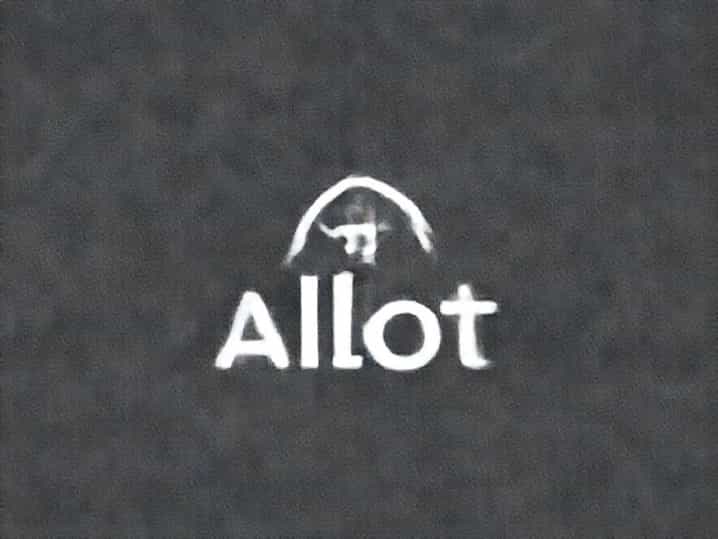 Another Word For Allot