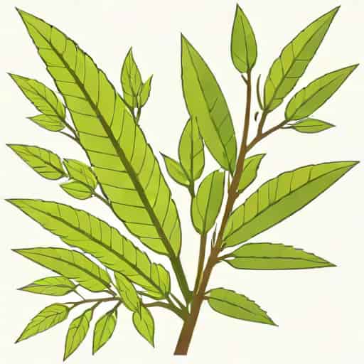 Benua Laurasia Meliputi