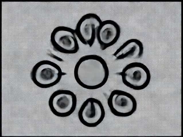 Can Monocytes Have Nucleoli