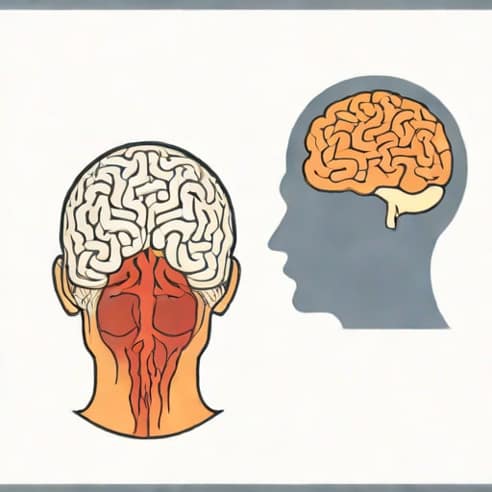 Extradural Vs Epidural Hematoma