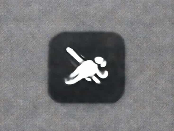 Flip Diving Mod Apk
