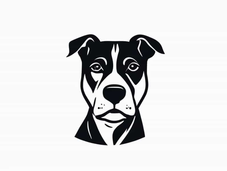 Is A Staffy A Bull Terrier