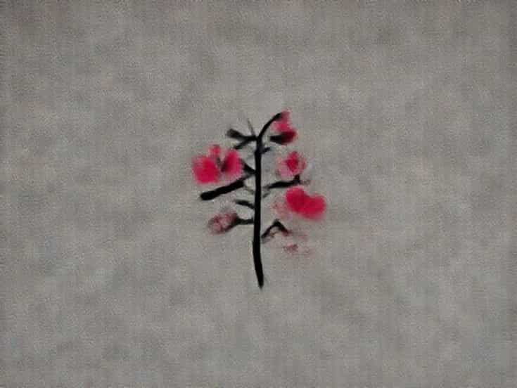 Is Bougainvillea A Vine
