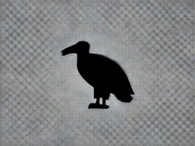 Is Vulture A Saprophyte