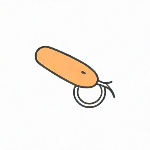 It Carries Sperm From Testes To Urethra