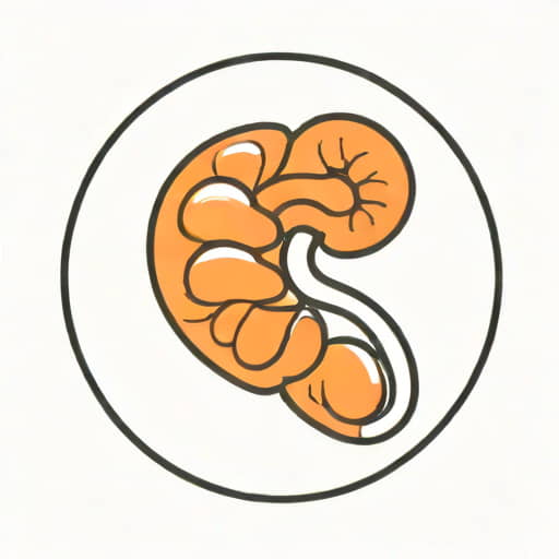 Kidney Heaviness On Right Side