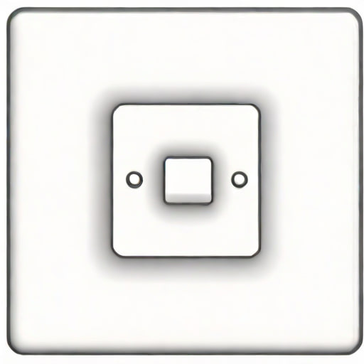 Leviton Momentary Switch