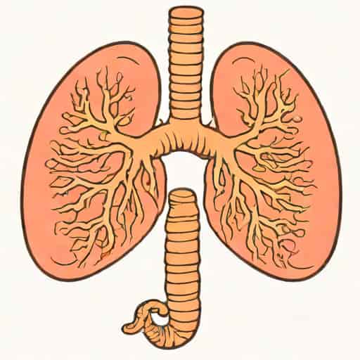 Malignant Neoplasm Of Bronchus And Lung