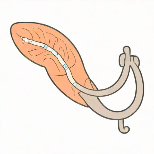 Narrowing Of The Distal Gastric Sphincter