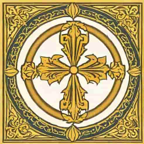 Order Of Anopheles Gambiae