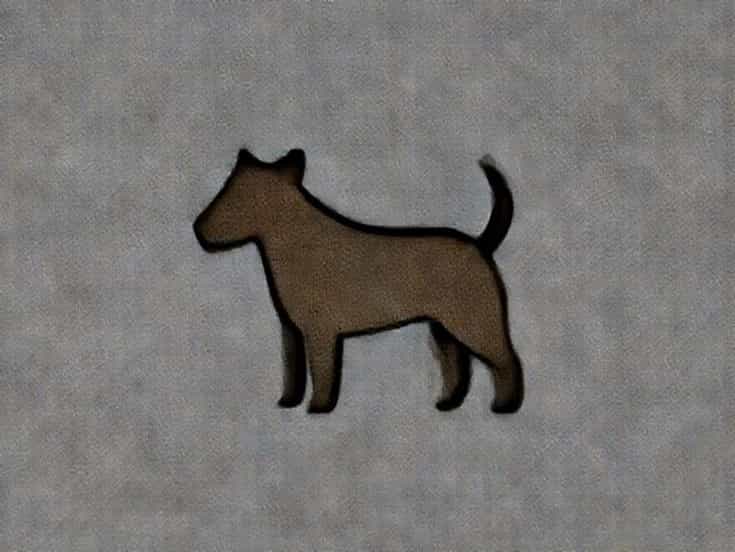 Qld Bull Terrier Rescue