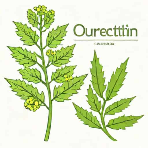 Quercetin And Wormwood