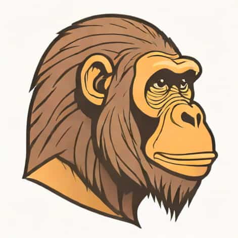 Quienes Eran Los Australopithecus