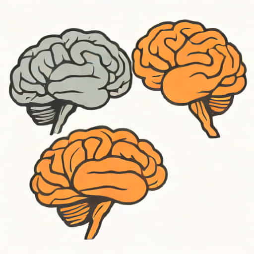 The Brains The Brawn And The Beauty