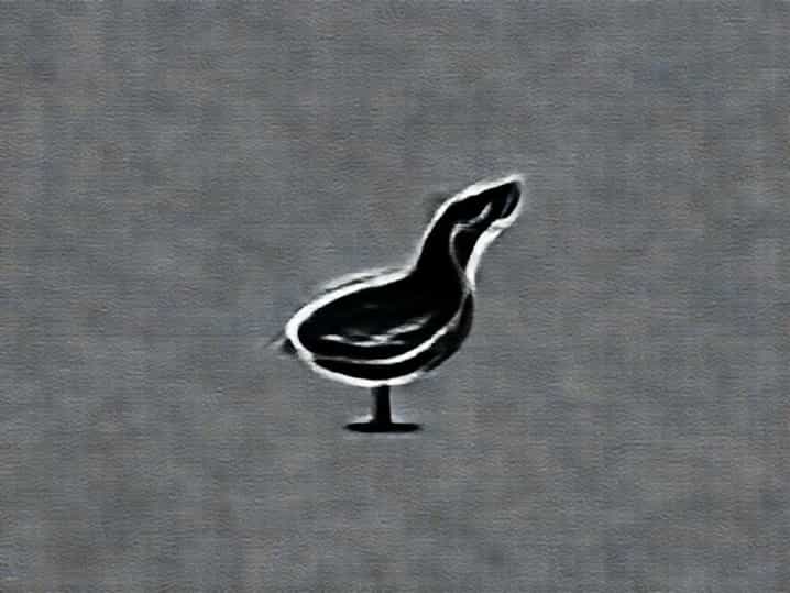 The Peck And Plume