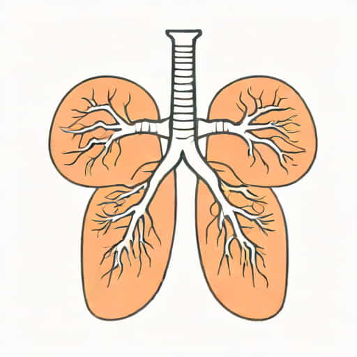Upper Lobe Bronchus Function