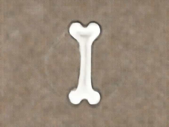 Using Bones For Divination
