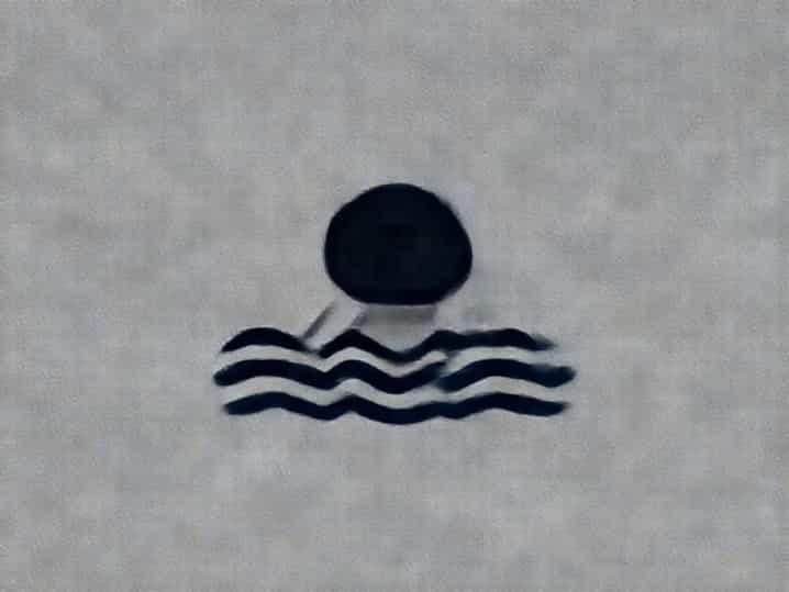 Uva Swim And Dive