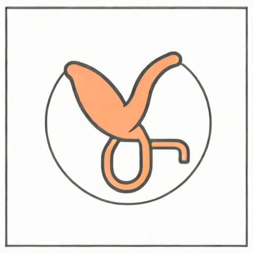 Vas Deferens And Ureter Relation