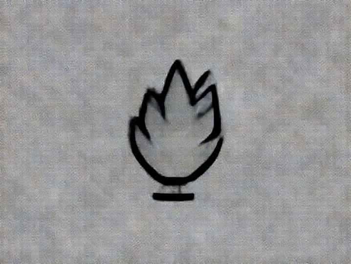 What Does Plume Mean