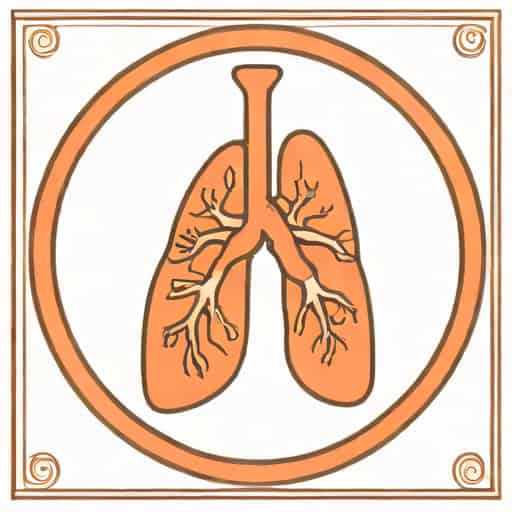 What Is Bronchus Intermedius