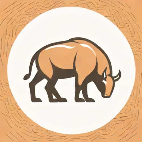 What Is Mange In Humans