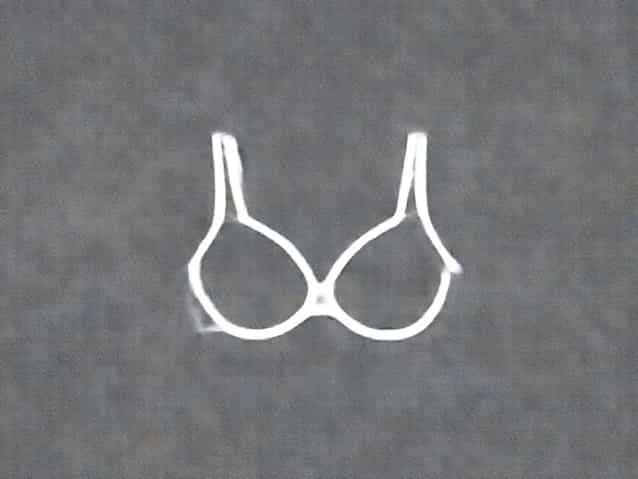 Where Can I Buy Playtex Bras